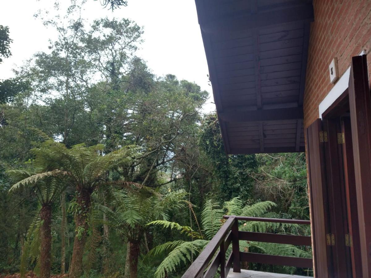 Pousada Estrela Da Serra Monte Verde  Eksteriør billede