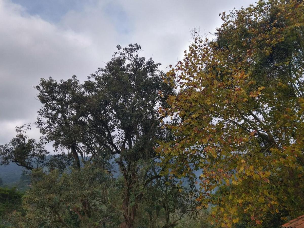 Pousada Estrela Da Serra Monte Verde  Eksteriør billede